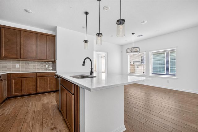146 W Coralburst Loop, Montgomery, TX 77316