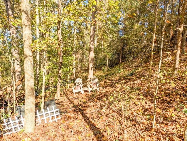 3301 Wild Basil Lane, Buford, GA 30519