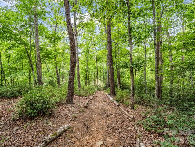 617 South Cove Road, Mill Spring, NC 28756
