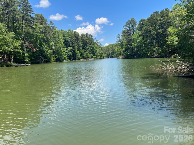 617 South Cove Road, Mill Spring, NC 28756