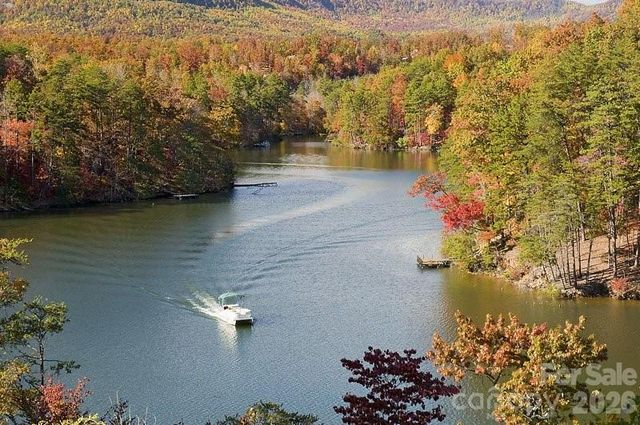 617 South Cove Road, Mill Spring, NC 28756