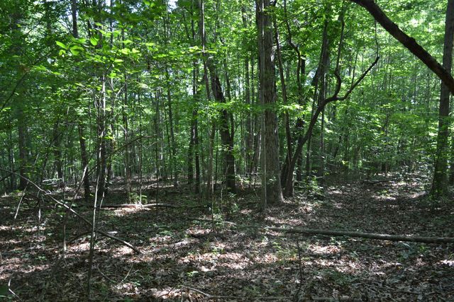 0 HackBerry LN, Glade Hill, VA 24092