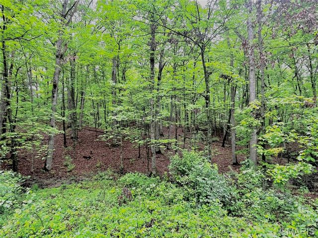13556 Rustic Valley Drive, Wright City, MO 63390