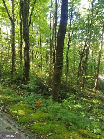 0 DRIVER LANE, Sky Valley, GA 30537