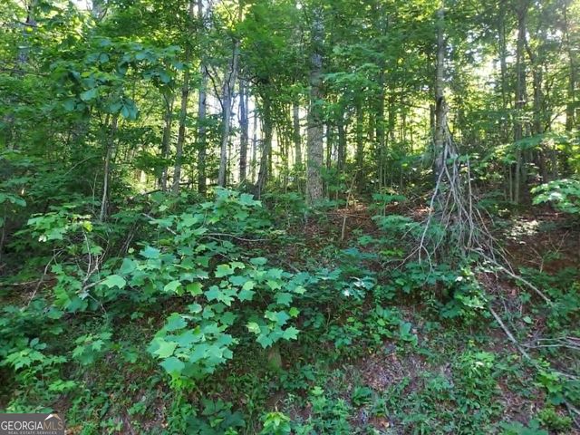 0 DRIVER LANE, Sky Valley, GA 30537