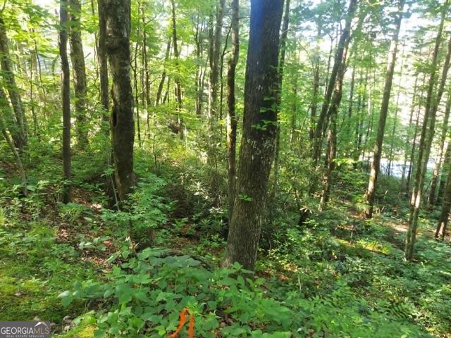 0 DRIVER LANE, Sky Valley, GA 30537