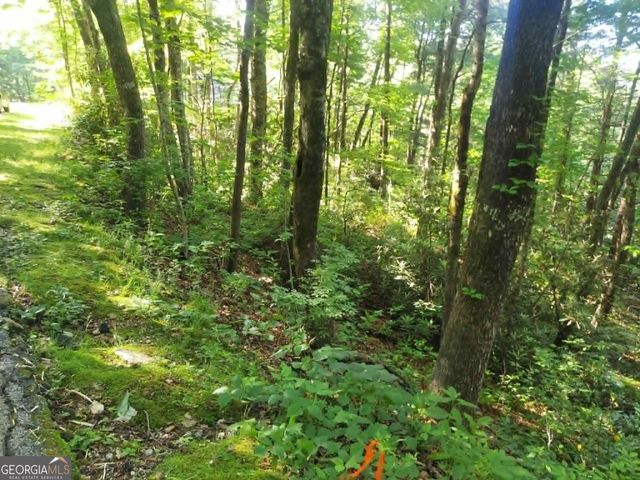 0 DRIVER LANE, Sky Valley, GA 30537