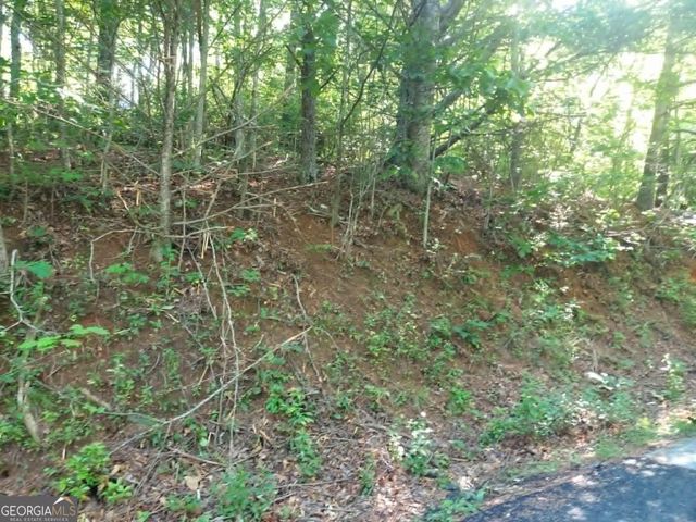 0 DRIVER LANE, Sky Valley, GA 30537