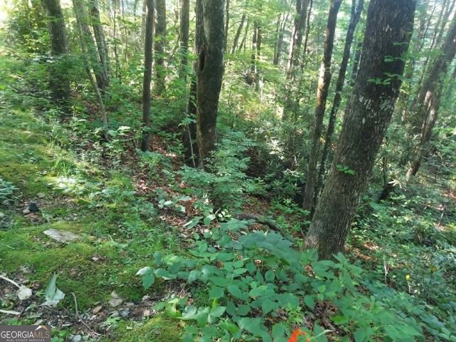 0 DRIVER LANE, Sky Valley, GA 30537