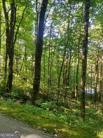0 DRIVER LANE, Sky Valley, GA 30537