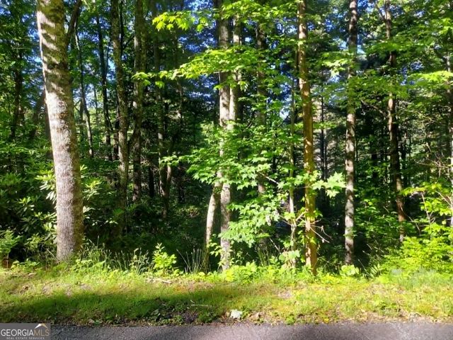 0 DRIVER LANE, Sky Valley, GA 30537
