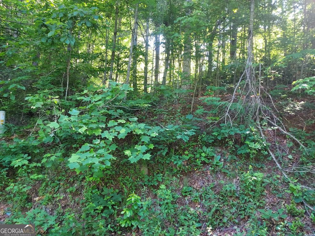 0 DRIVER LANE, Sky Valley, GA 30537