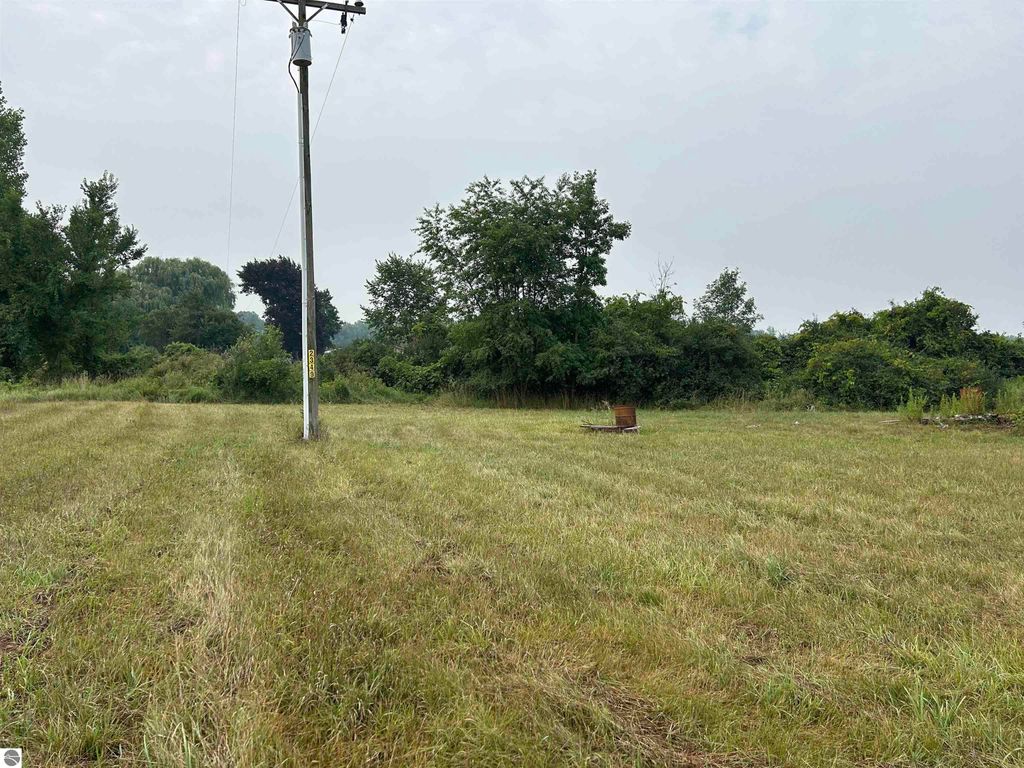 Open land at 2349 N Geneva Road, Coleman, MI, featuring a utility pole, surrounded by trees, ideal for hunting and recreational use on 4.77 acres.