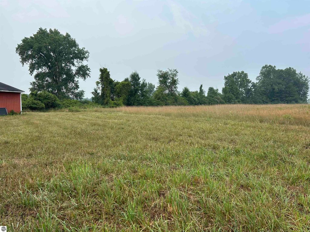 Open land with tall grass and trees in the background, featuring a red pole building on the left, suitable for hunting or recreational use, located at 2349 N Geneva Road, Coleman, MI.