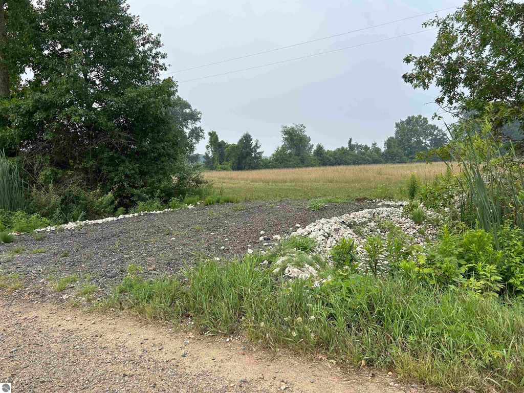 Gravel driveway leading to open land in Coleman, MI, surrounded by greenery and trees, suitable for hunting and recreational use.