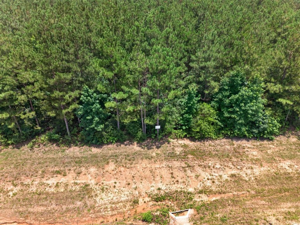 15261 Rubicon Road, Willis, TX 77378