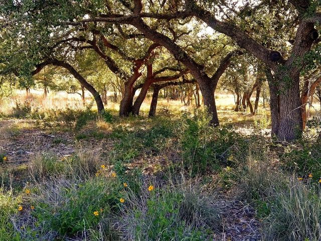 0 Whiskey TRL, Blanco, TX 78606