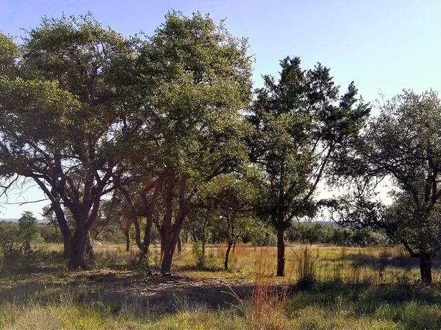 0 Whiskey TRL, Blanco, TX 78606