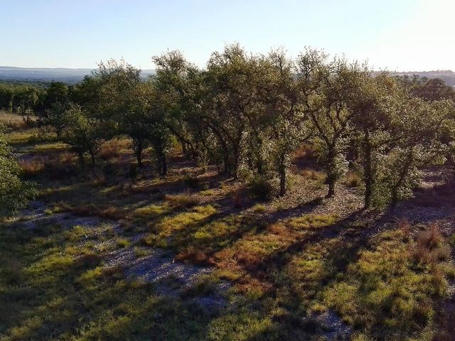 0 Whiskey TRL, Blanco, TX 78606