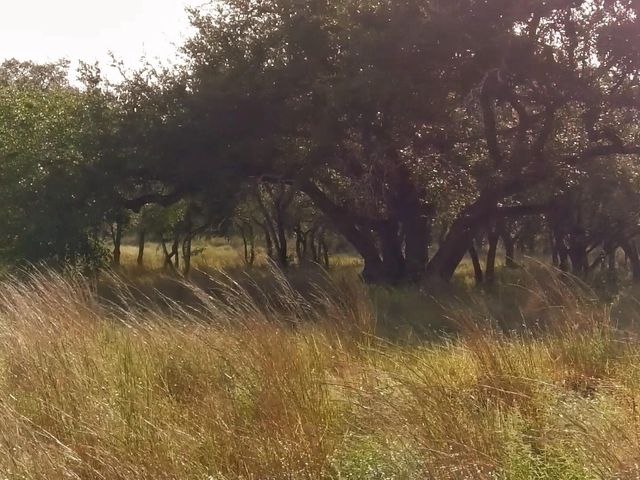 0 Whiskey TRL, Blanco, TX 78606