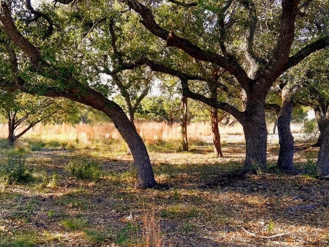 0 Whiskey TRL, Blanco, TX 78606