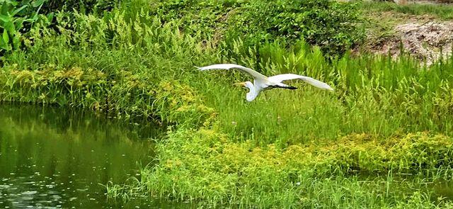 1440 NW 48th Drive, Boca Raton, FL 33431