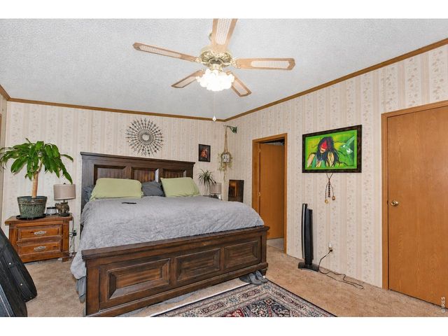 4006 Harrison Ave, Wellington, CO 80549