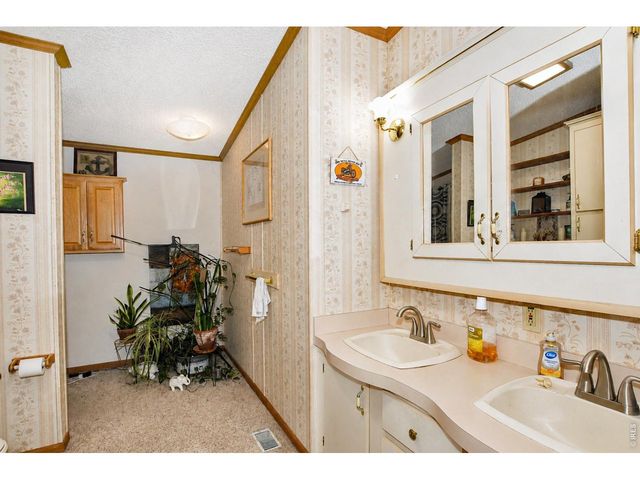4006 Harrison Ave, Wellington, CO 80549