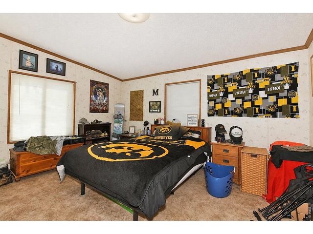 4006 Harrison Ave, Wellington, CO 80549