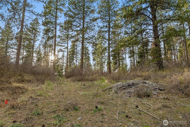 250 Fir Tree Drive, Cle Elum, WA 98922