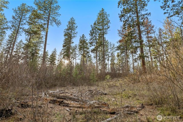 250 Fir Tree Drive, Cle Elum, WA 98922