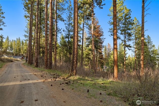 250 Fir Tree Drive, Cle Elum, WA 98922