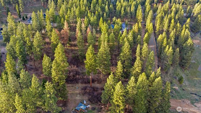 250 Fir Tree Drive, Cle Elum, WA 98922