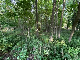 Fairfield Ave, West Caldwell Twp., NJ 07006