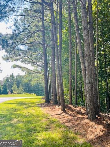 105 Hawks Court, Ball Ground, GA 30107