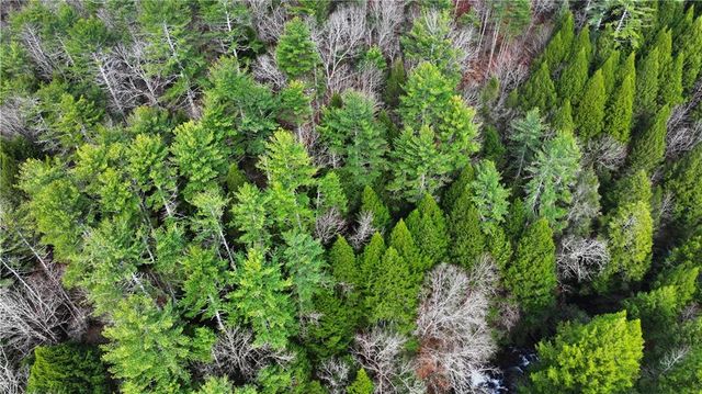 00 Hemlock Road, Ellijay, GA 30540