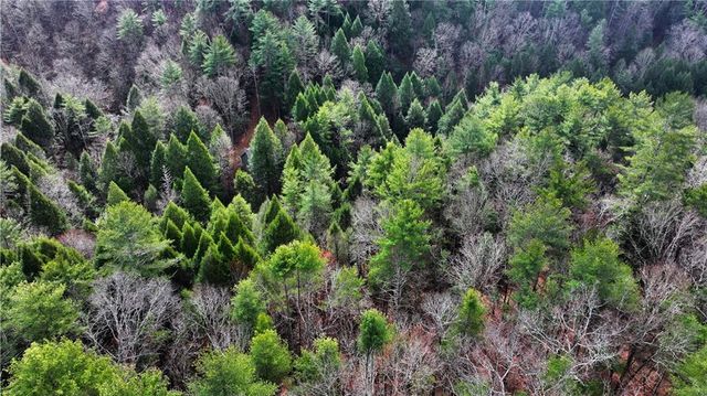 00 Hemlock Road, Ellijay, GA 30540