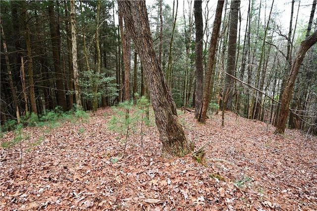 00 Hemlock Road, Ellijay, GA 30540