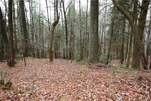 00 Hemlock Road, Ellijay, GA 30540