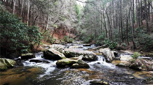 00 Hemlock Road, Ellijay, GA 30540