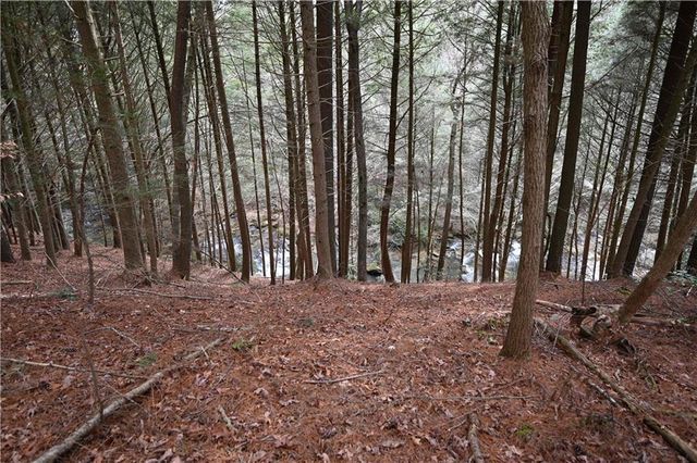 00 Hemlock Road, Ellijay, GA 30540