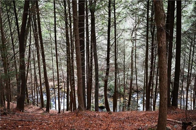00 Hemlock Road, Ellijay, GA 30540
