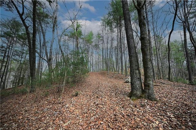 00 Hemlock Road, Ellijay, GA 30540