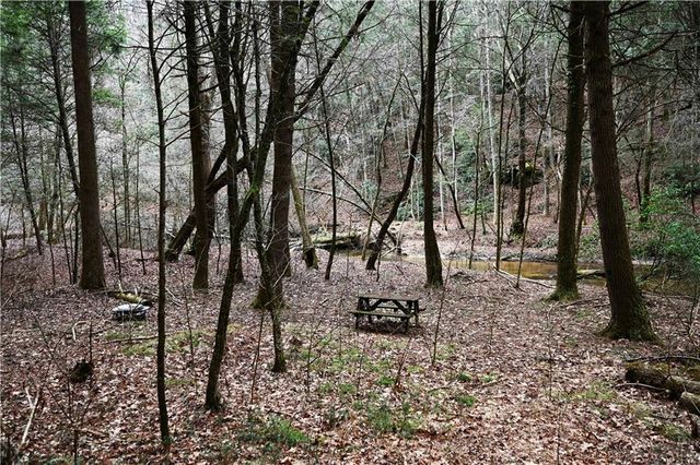 00 Hemlock Road, Ellijay, GA 30540