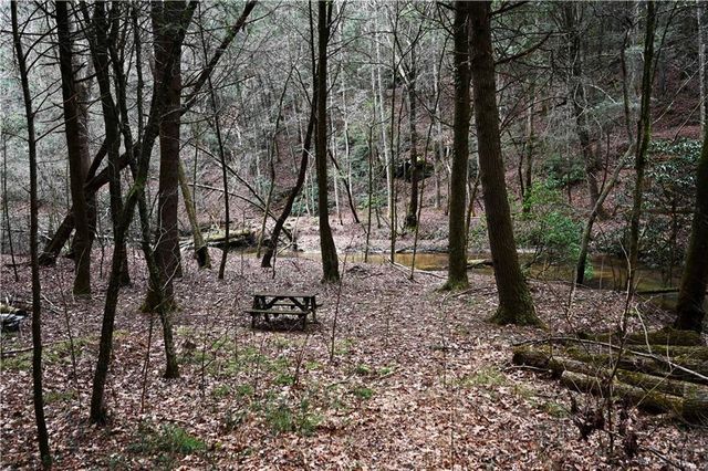 00 Hemlock Road, Ellijay, GA 30540