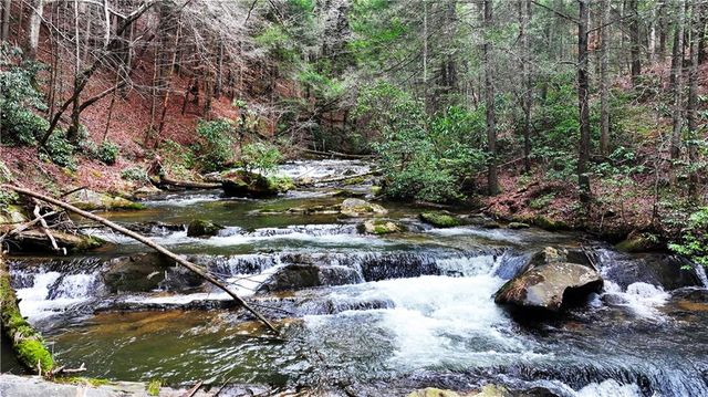 00 Hemlock Road, Ellijay, GA 30540