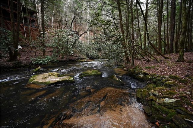 00 Hemlock Road, Ellijay, GA 30540