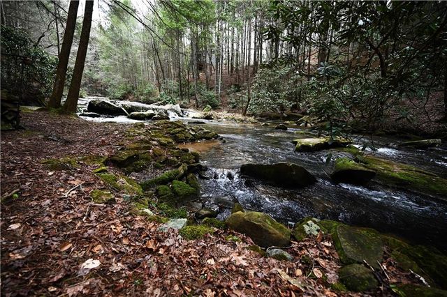 00 Hemlock Road, Ellijay, GA 30540