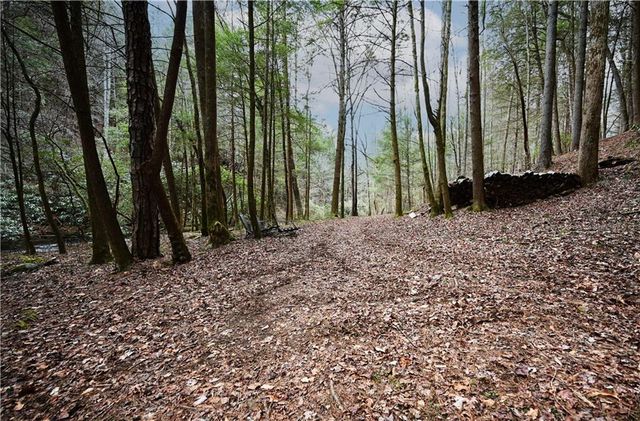 00 Hemlock Road, Ellijay, GA 30540