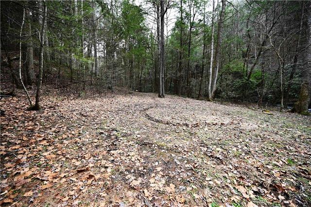 00 Hemlock Road, Ellijay, GA 30540